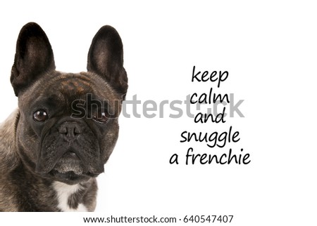keep calm and snuggle a frenchie