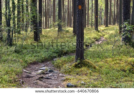 Hiking trail with signs in the forest. Finland
