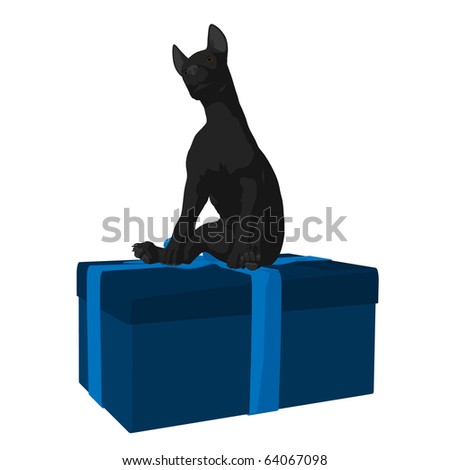 Black puppy dog on a gift box on a white background