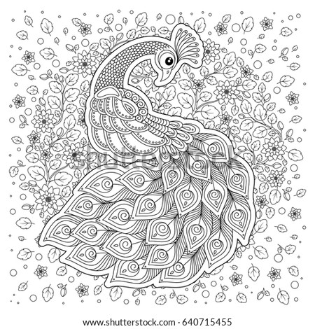 Peacock. Adult antistress coloring page. Black and white hand drawn doodle for coloring book