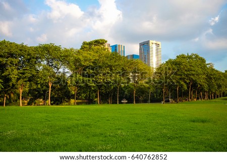 Landscape green meadow tree at nature public park with building blue sky scene