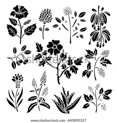 Herbal collection. Flowers, herbs, berries, leaves, plants. Hand drawn isolated on white background. Black silhouettes