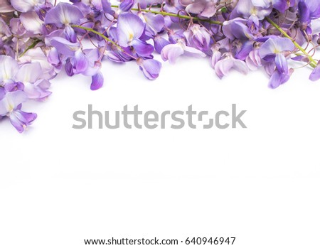 Wisteria on a white background. Can be used as a postcard.