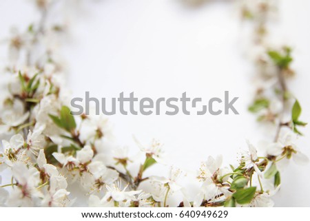 Composition flat lay. Art spring flowers frame background. Still life arrangement of flowers as border. 