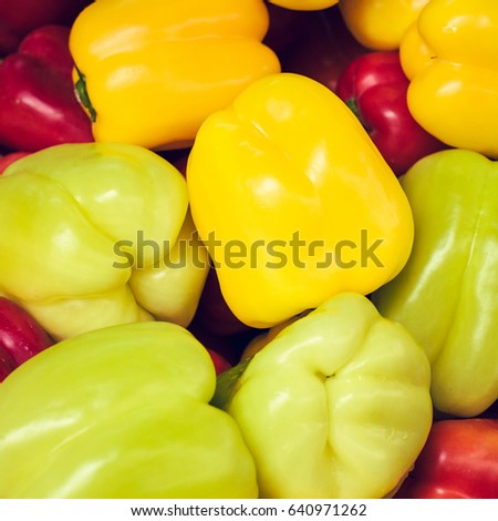 Pile of colorful bell peppers in a market as a natural food background