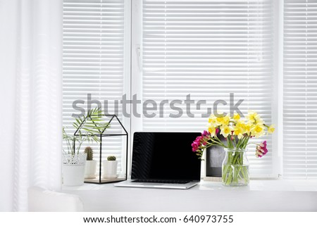Composition with laptop and home plants on windowsill