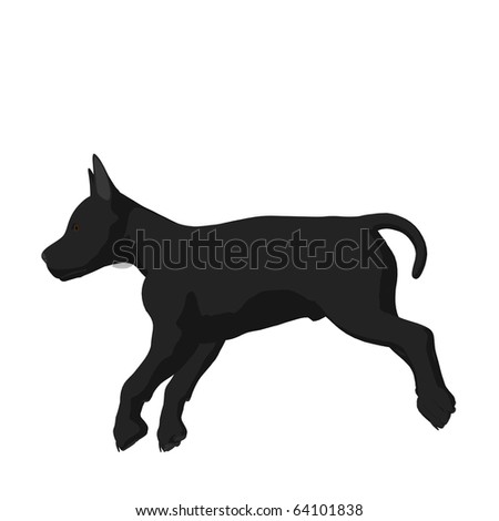 Black puppy dog on a white background