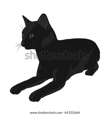 Black cat  on a white background