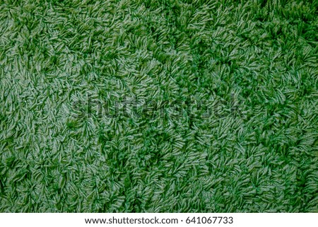 Greened color carpet texture - Green carpet