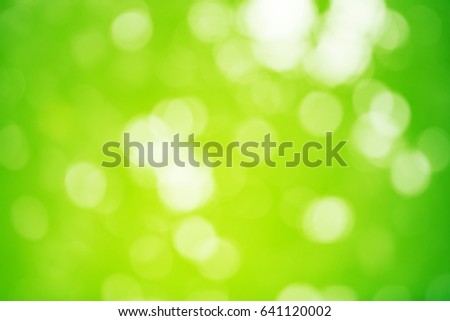 Abstract under tree background,Blurred style and bokek of green color.