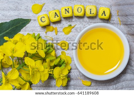 Canola with oil concept on gray wood. Royalty-Free Stock Photo #641189608