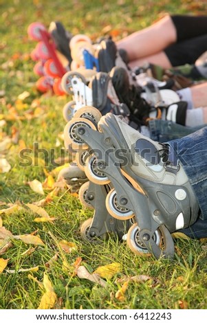 row of roller legs on the grass 2
