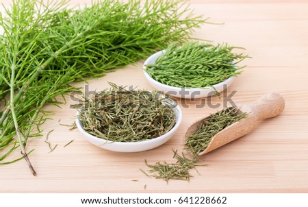 Fresh and dried field horsetail  Royalty-Free Stock Photo #641228662