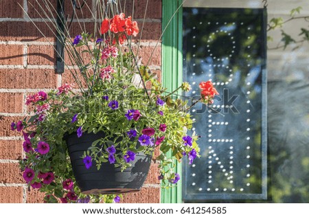 Petunia hanging basket outside store window with unlit open sign, open for business concept