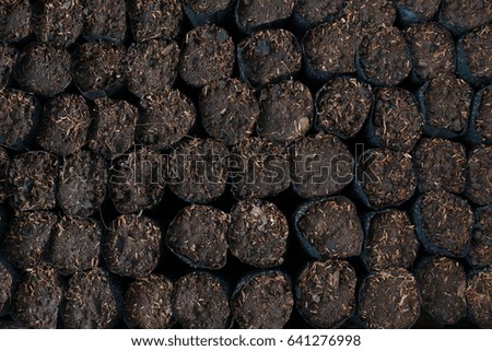 Soil mixed fertilizer in black bags, moisture and soil fertility for cultivation