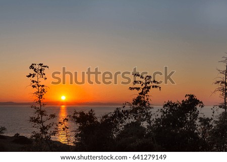 Golden sunset over sea in Greece coast through tree branches