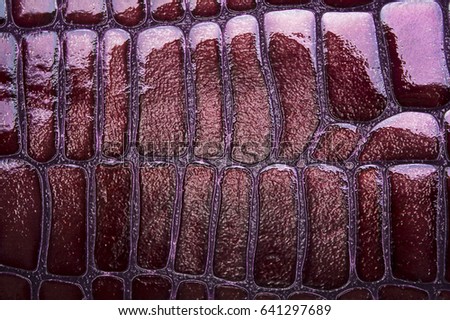 Violet snake skin with pattern, reptile