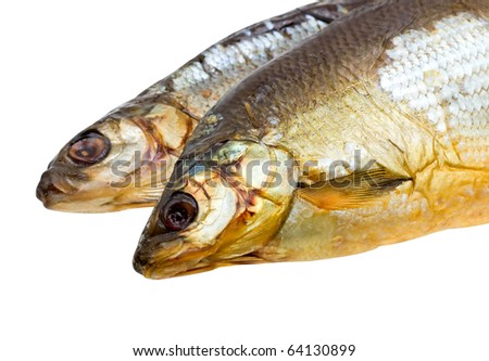 Close-up dried fish isolated on white background