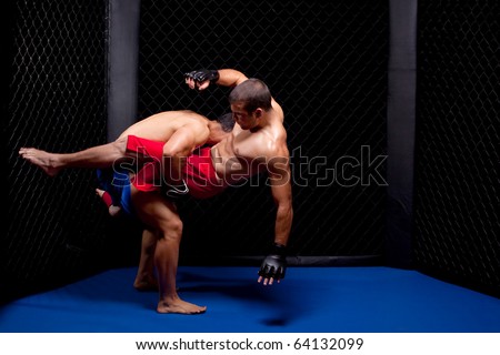 Mixed martial artists fighting Royalty-Free Stock Photo #64132099
