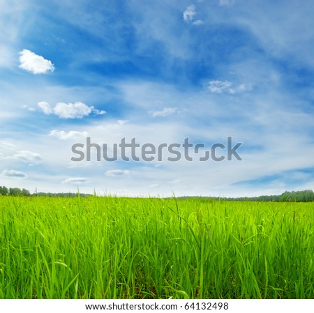 Beautiful summer landscape with cloudy sky.