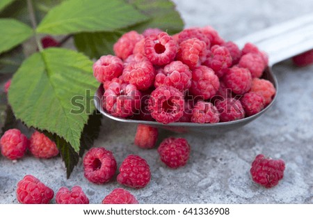 small fruit raspberries in the metallic spoon and green leaf