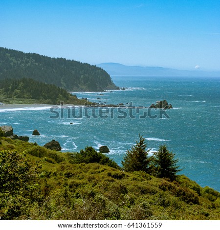 Beautiful forest ocean and mountain view landscape from the california coast