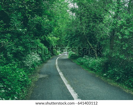 Spring countryside road,Northern Ireland