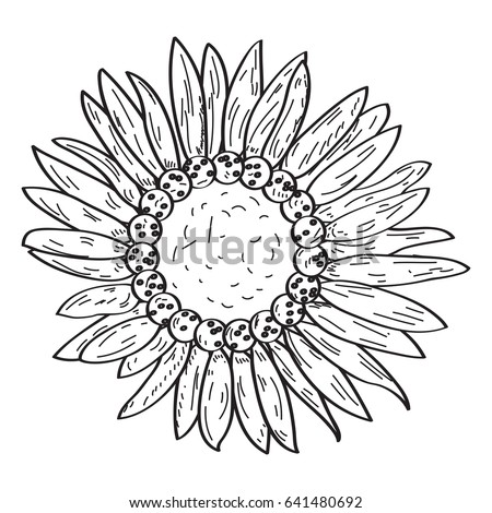 Isolated outline of a flower, Vector illustration