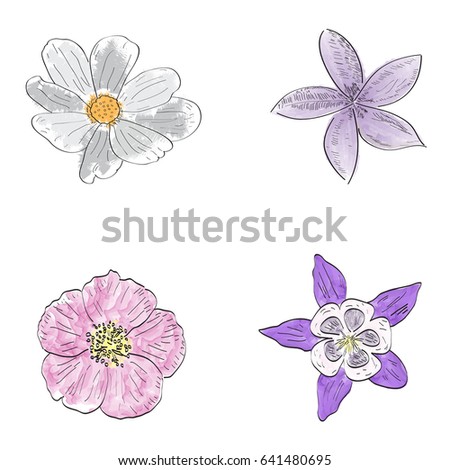 Set of outlines of different flowers, Vector illustration