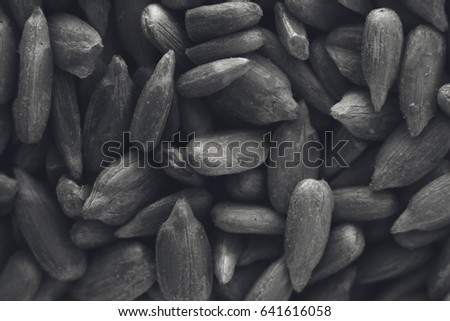 Sunflower seeds. This image can be used as a background for web pages, restaurant decor or posters