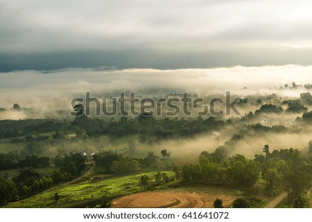 Beautiful landscape with forest and fog