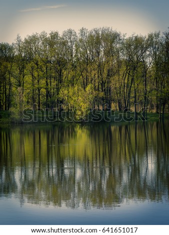 The shore of the forest and reflection in the water.A background for your project.