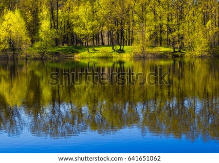 The shore of the forest and reflection in the water.A background for your project.
