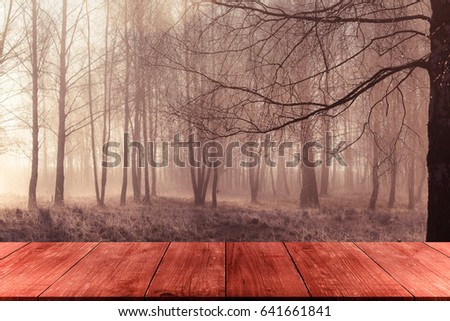 View from dark wooden gangway, table or bridge to the forest. Collage. Toned.