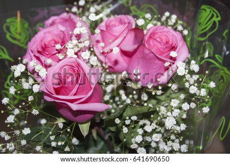 Bouquet of pink roses close-up