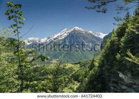 Green meadow on snow covered mountains background at Swiss Alps, Switzerland