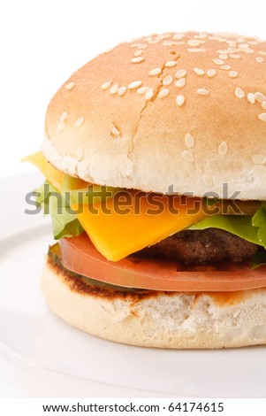 cheeseburger on the plate