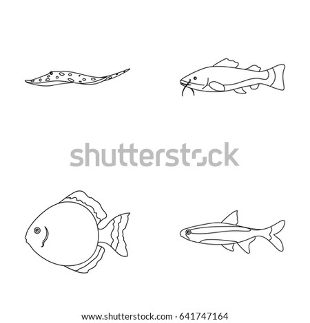 Angelfish, common, barbus, neon.Fish set collection icons in outline style vector symbol stock illustration web.