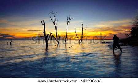 Passionate male photographer taking a beautiful sunset surrounded by mangrove trees. Image has grain or blurry or noise and soft focus when view at full resolution (Shallow DOF, slightly motion blur).