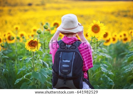 Back of woman photographer taking pictures of sunflowers
