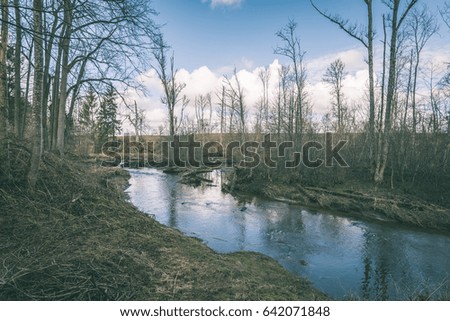 view to the mountain river in summer surrounded by forest and spring nature - vintage green look