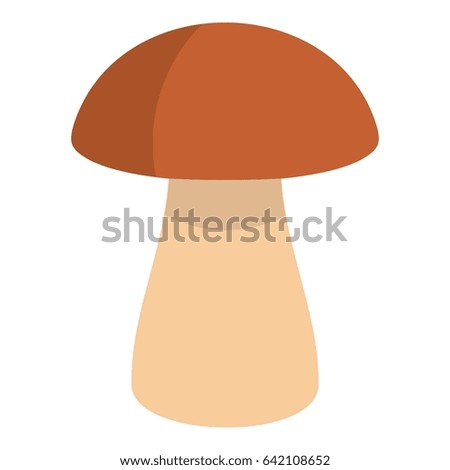 Fungus boletus icon flat isolated on white background  illustration