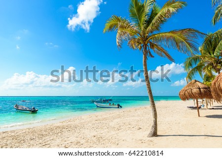 Akumal beach - paradise bay  Beach in Quintana Roo, Mexico - caribbean coast - Riviera Maya Royalty-Free Stock Photo #642210814