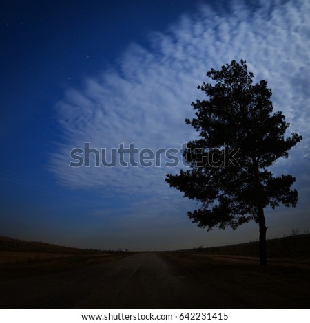 Stars in the night sky with clouds over the road. The landscape is photographed by moonlight.