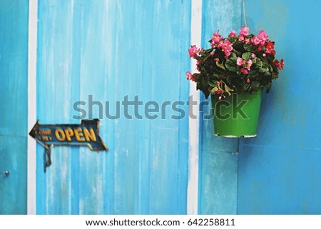 Flower in pot on blue wooden wall with open sign blurry background