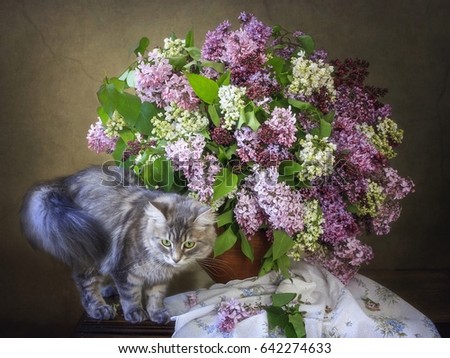 Cat with a bouquet of lilacs