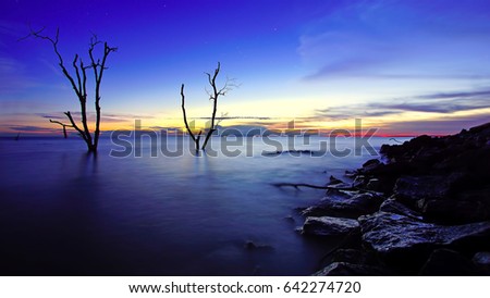 Beautiful view of the sunset surrounded by mangrove trees. Image has grain or blurry or noise and soft focus when view at full resolution (Shallow DOF, slightly motion blur).