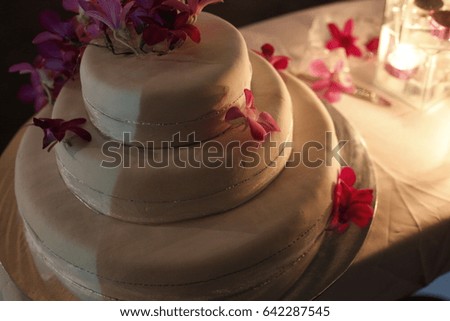 Wedding Cake in Dark Natural Light