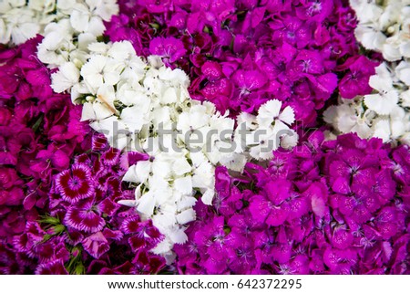 Close-up colorful spring bouquet with many different flowers as a background and texture