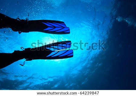Diver's fin Royalty-Free Stock Photo #64239847